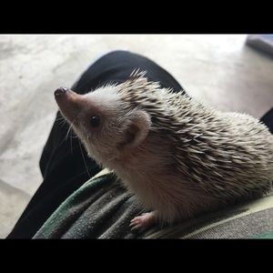 Meet your Posher, Calvin